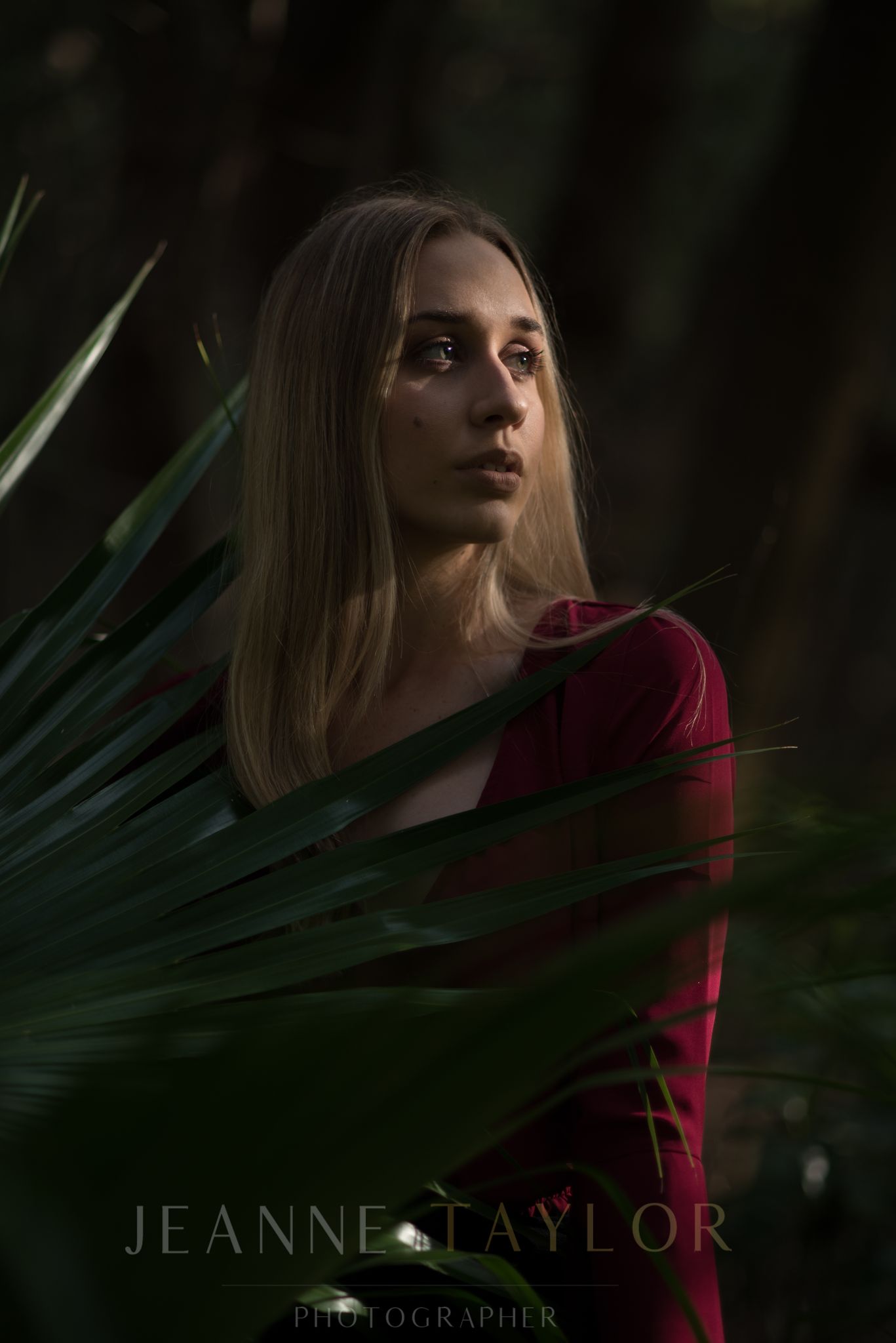 Woman in a red dress among palm fronds — tropical portrait photography in Cape Town by Jeanne Taylor